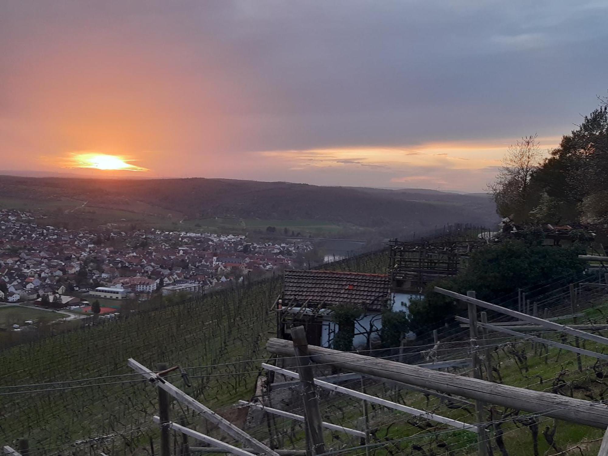 Ferienhaus An Der Hoeh' Zellingen Εξωτερικό φωτογραφία